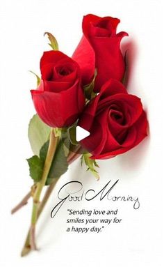 two red roses with the words god always sending love and smiles your way for a happy day