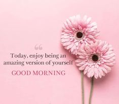 three pink daisies sitting on top of a pink background with the words, today enjoy being an amazing version of yourself good morning