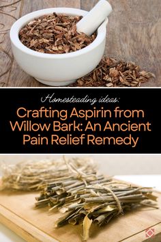 Explore the art of crafting aspirin from willow bark, a trusted homesteading remedy for natural pain relief. Learn how to harness the power of this ancient remedy on your homestead and create your own aspirin to soothe aches and pains naturally. Natural Medicine Recipes, Herbal Medicine Recipes, Herbal Remedies Recipes, Medicinal Herbs Garden, Pain Relief Remedies, Holistic Recipes, Essential Oils Herbs, Herbal Recipes, Natural Healing Remedies