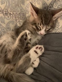 a cat is sleeping on top of a couch with its paws stretched out and eyes closed