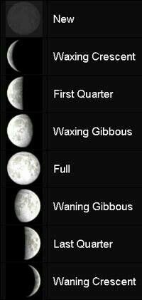 the phases of the moon are shown in black and white