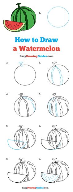 how to draw a watermelon with easy step by step instructions for beginners