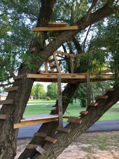 a tree house built into the side of a tree