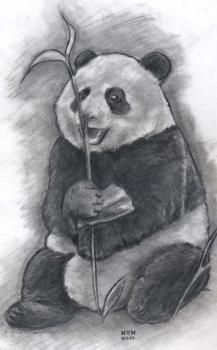 a pencil drawing of a panda holding a flower