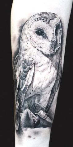 an owl tattoo on the arm and leg is shown in black and grey ink,