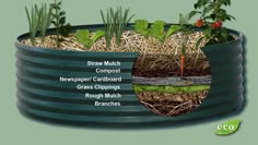 an image of a garden in a tub with plants growing out of the top and bottom