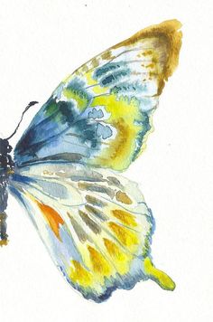 a painting of a colorful butterfly on a white background