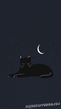 a cat that is laying down on the ground at night with a half moon in the sky