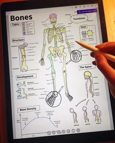 a person is holding a pencil and looking at a diagram on a tablet screen that shows bones