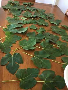 the leaves are laying on the table and ready to be cut into smaller sized pieces