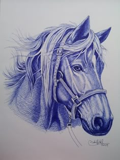 a pencil drawing of a horse's head