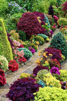 many different types of flowers and plants in the garden with stone walkway leading up to them