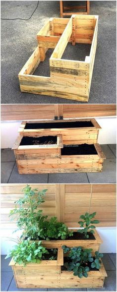 some wooden boxes with plants growing out of them