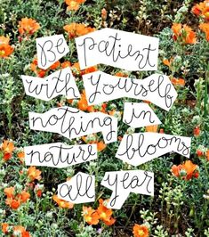 some flowers that are in the grass with signs on them saying be patient with yourself nothing i'm nature blooms all year