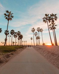 palm trees line the beach as people walk on the sand at sunset in front of them