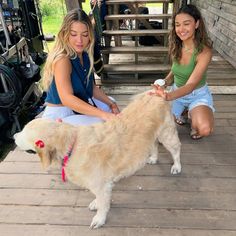 two beautiful young women petting a large dog