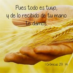 a person holding wheat in their hands with the words, pues tods tupo,