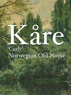 the cover of kare's book, curly norwegian old noise