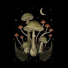 mushrooms and ferns in the night sky art print