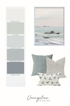 the color scheme for gray and white is shown in this image, along with two different pillows