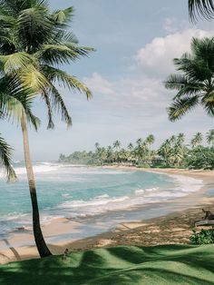 the beach is lined with palm trees and blue water