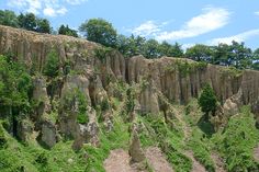 a large rock formation in the middle of a forest area with trees growing on it