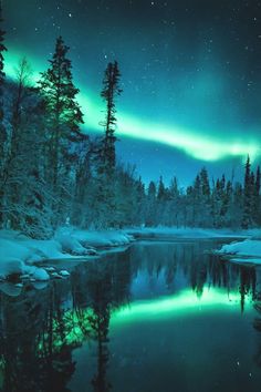 the northern lights shine brightly in the sky over a snowy lake and forest covered with snow