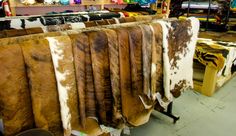 several cow hides are lined up in a store