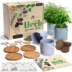 the herb grow kit includes plants, rocks and seeding kits for growing herbs in pots