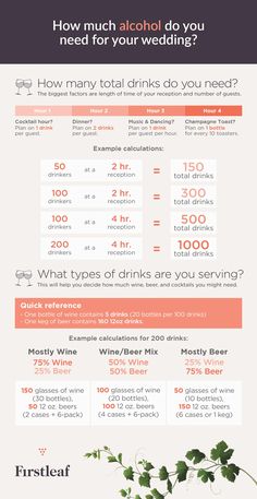 an info sheet showing the different types of food and drink options for each type of meal