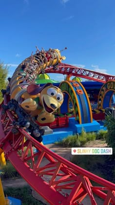 the dog roller coaster at disney world's animal kingdom is red, yellow and blue