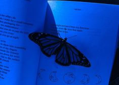 an open book with a butterfly sitting on it's cover and the pages are blue