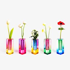 four different colored vases with flowers in them