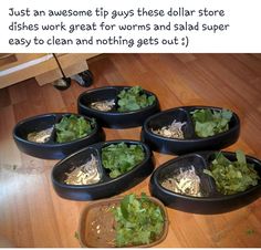 four black bowls filled with food on top of a wooden floor