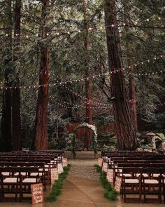 an outdoor wedding ceremony in the woods with lights strung from trees and wooden pews