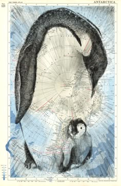 an image of a penguin and its baby on a map with the arctic circle in the background