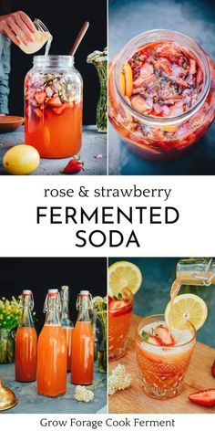 rose and strawberry fermented soda recipe