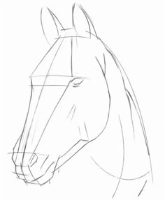 a horse's head is shown in this drawing