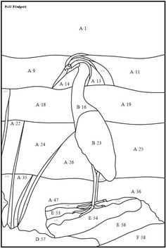 a coloring page with an image of a bird in the water and numbers on it