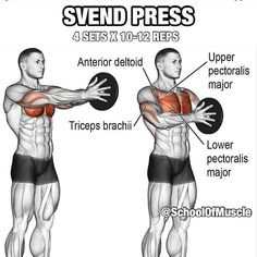 an image of a man doing the same exercises for his chest and upper arm muscles