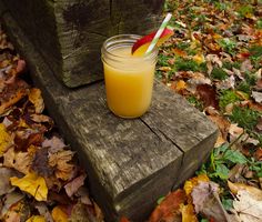 a glass filled with orange juice sitting on top of a wooden bench surrounded by leaves