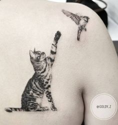 a cat reaching up to a bird on the back of a woman's shoulder