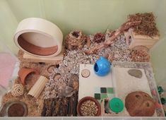 an assortment of plants and other things in a container on the ground with rocks, wood sticks, sand and clay