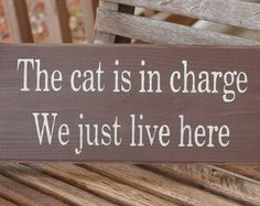 a wooden sign that says the cat is in charge we just live here on a bench