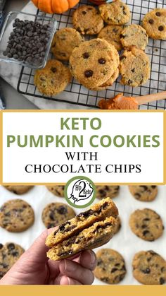 Keto Pumpkin Cookies with Chocolate Chips Keto Pumpkin Chocolate Chip Cookies, Keto Pumpkin Cookies, Desserts Pumpkin, Keto Treats, Desert Ideas, Pumpkin Cookie Recipe, Low Card, Pumpkin Desserts