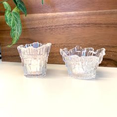 two clear glass vases sitting on top of a white counter next to a plant