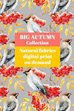 the big autumn collection is featured with birds and berries