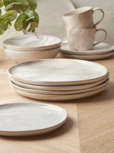 a table topped with plates and cups on top of a wooden table next to a potted plant