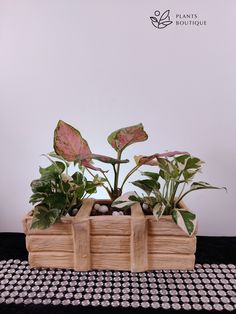 two plants are in a wooden box on a table