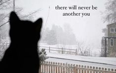 a black cat looking out the window at snow covered yard and fence, with a quote written on it